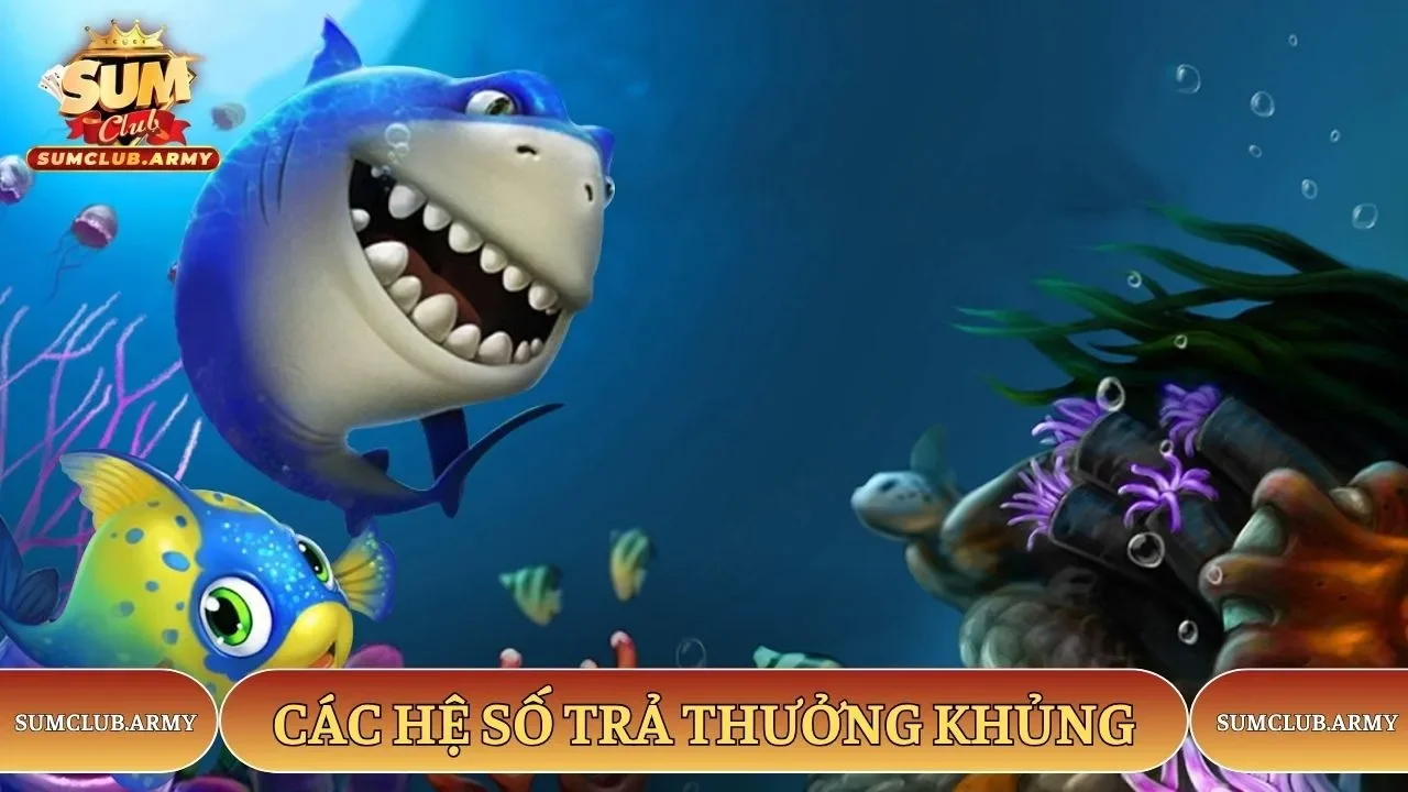 Các hệ số trả thưởng khủng tại Sumclub Các hệ số trả thưởng khủng tại Sumclub