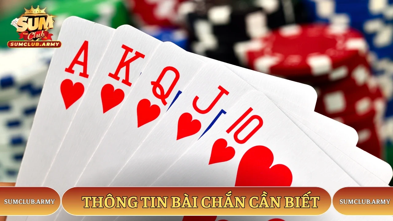 Thông tin bài chắn cần biết Thông tin bài chắn cần biết
