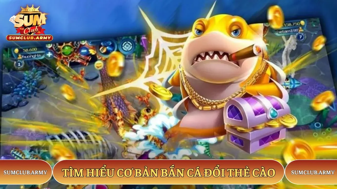 Tìm hiểu Sumclub cơ bản bắn cá đổi thẻ cào Tìm hiểu Sumclub cơ bản bắn cá đổi thẻ cào