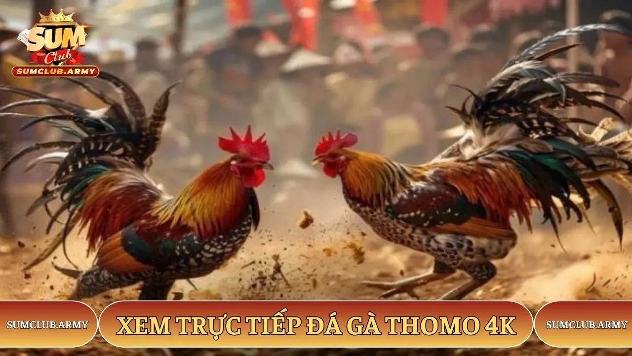 Xem trực tiếp sắc nét 4K tại Sumclub Xem trực tiếp sắc nét 4K tại Sumclub
